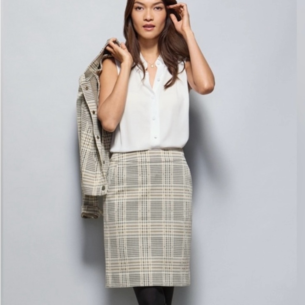 Cabi Travel Skirt